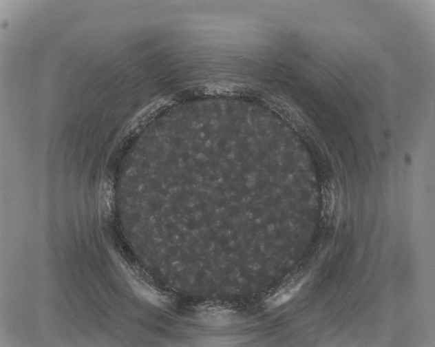 X0000080670648200612301401