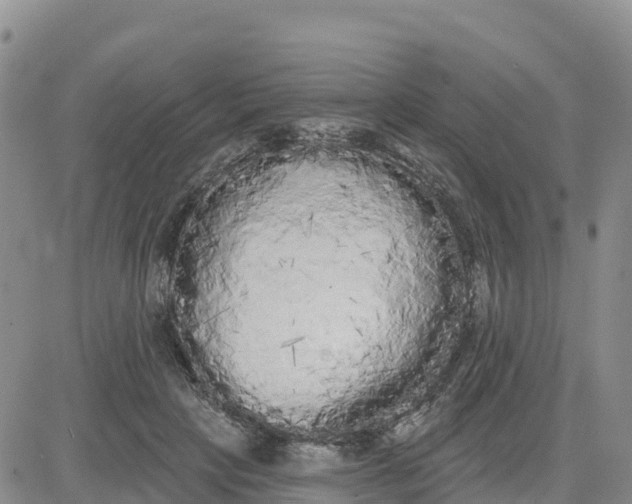 X0000080670649200612301401