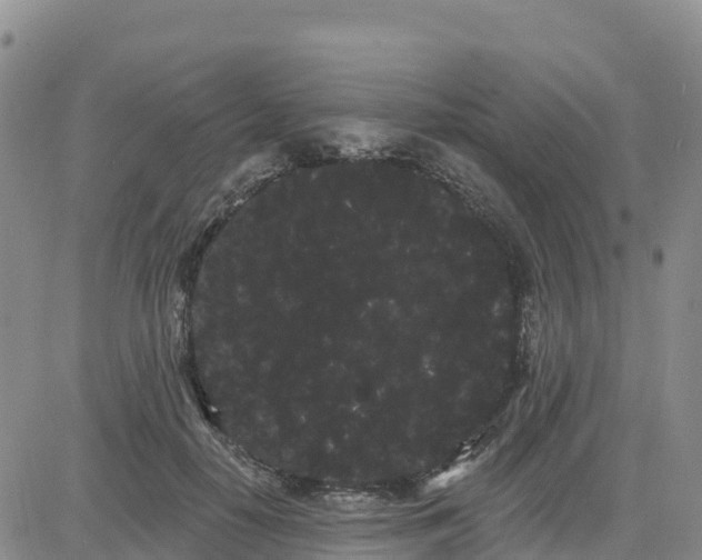 X0000080670650200612301401