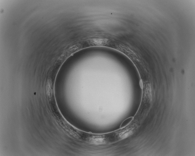 X0000080670651200612301401