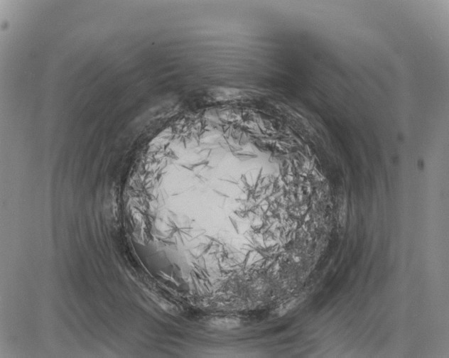 X0000080670653200612301401