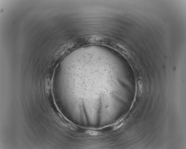 X0000080670654200612301401