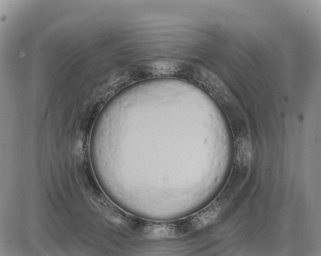 X0000080670655200612301401