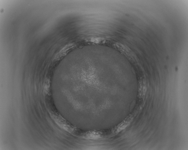 X0000080670656200612301401