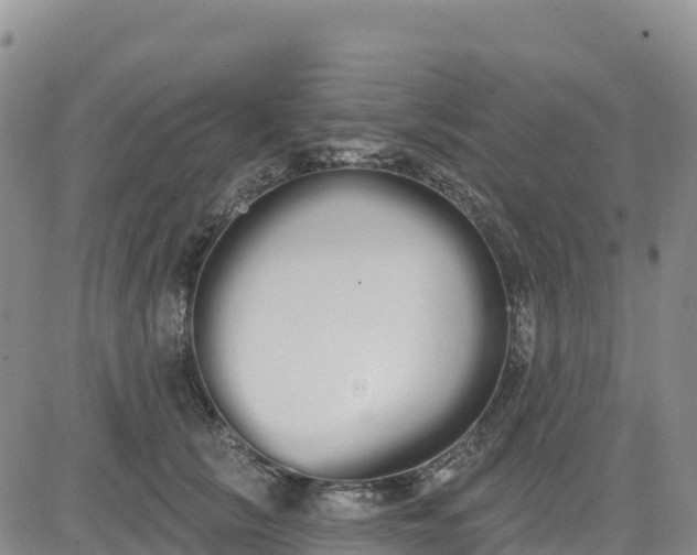 X0000080670657200612301401