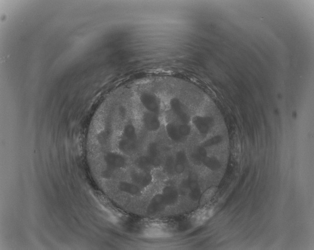 X0000080670658200612301401