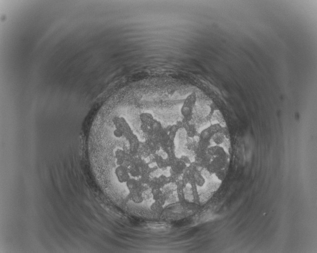 X0000080670659200612301401