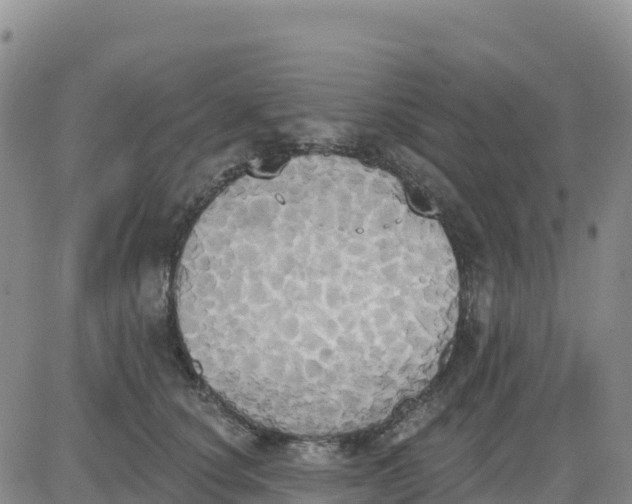 X0000080670660200612301401