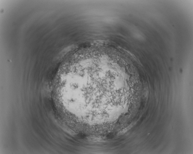 X0000080670661200612301401