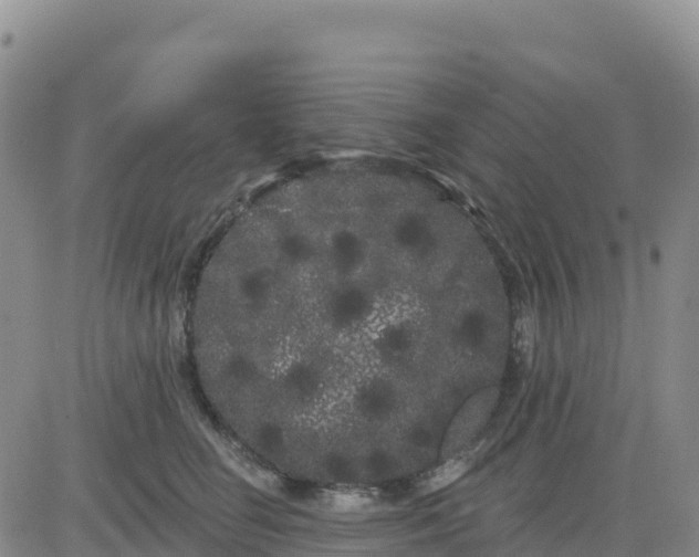 X0000080670662200612301401