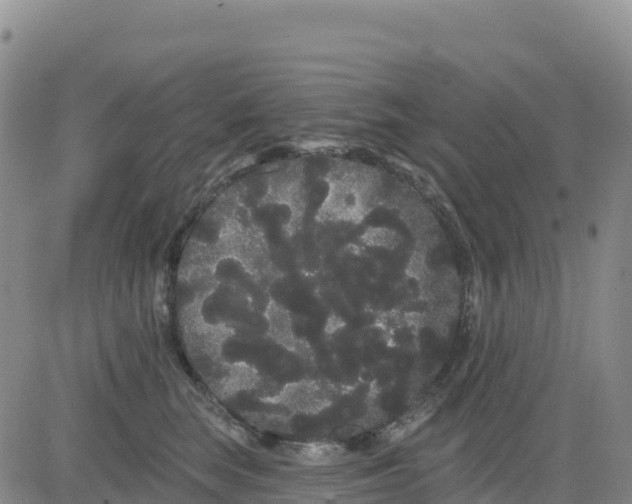 X0000080670663200612301401