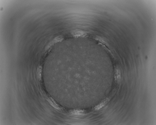 X0000080670664200612301401