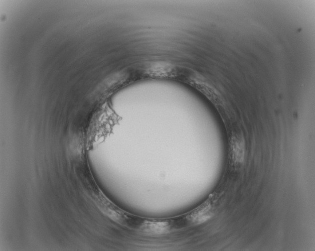 X0000080670665200612301401