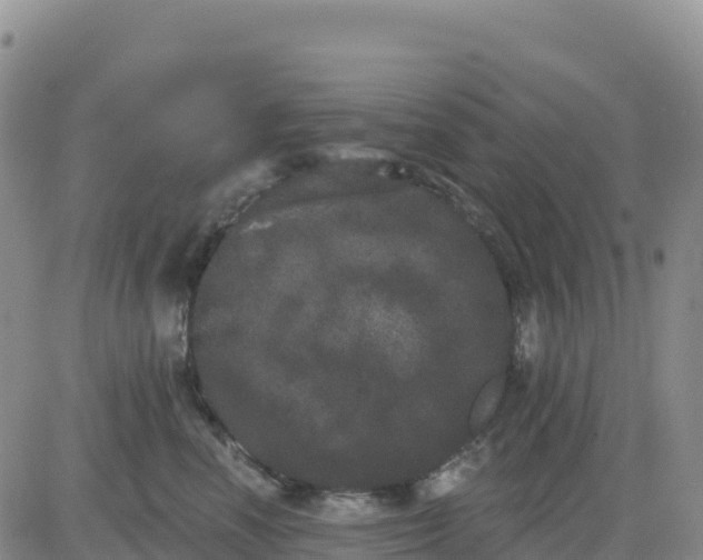 X0000080670666200612301401