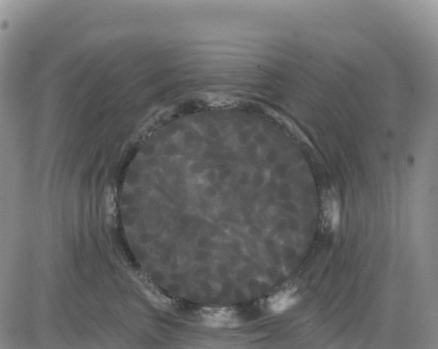 X0000080670667200612301401