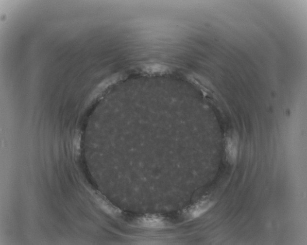 X0000080670668200612301401