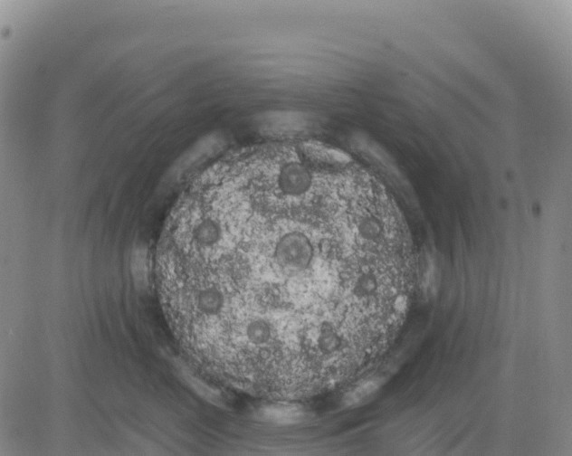 X0000080670669200612301401