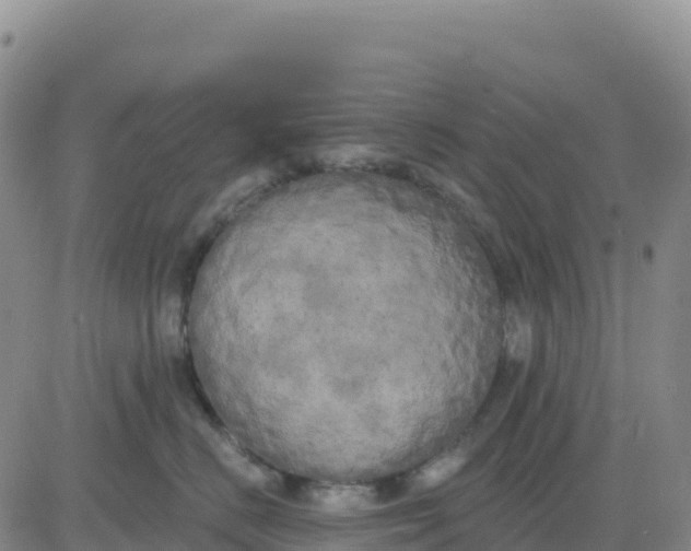 X0000080670670200612301401