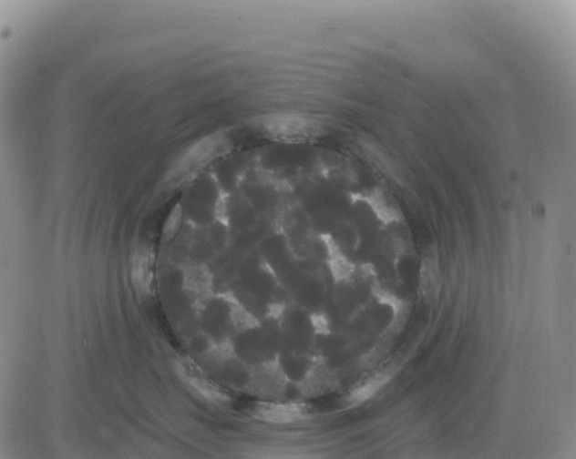 X0000080670671200612301401