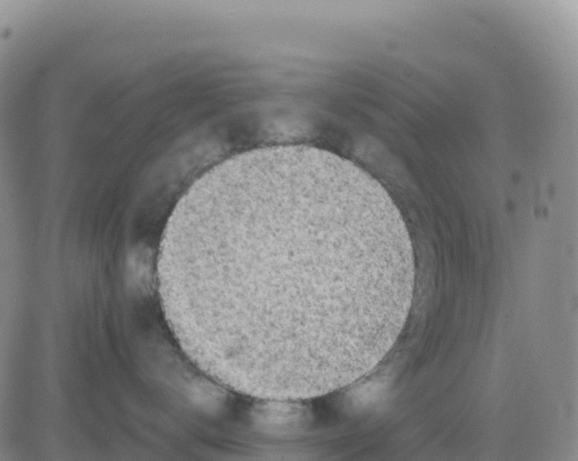 X0000080670672200612301401