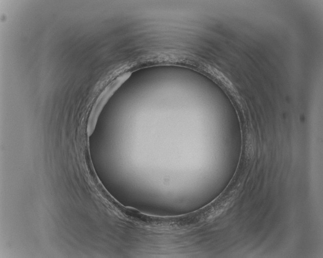 X0000080670673200612301401