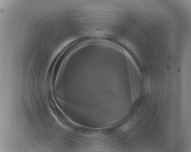 X0000080670674200612301401