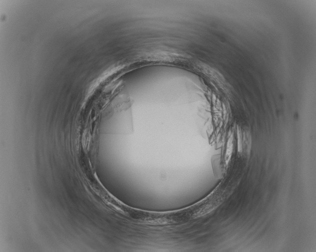 X0000080670675200612301401