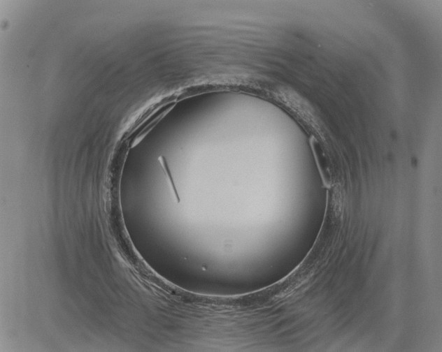 X0000080670676200612301401