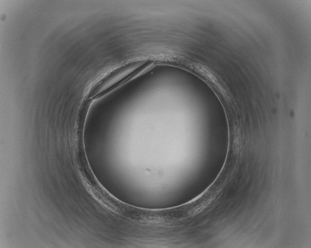 X0000080670677200612301401