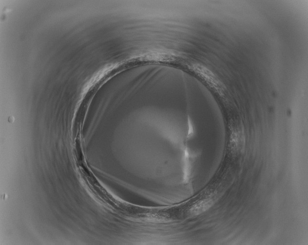 X0000080670678200612301400