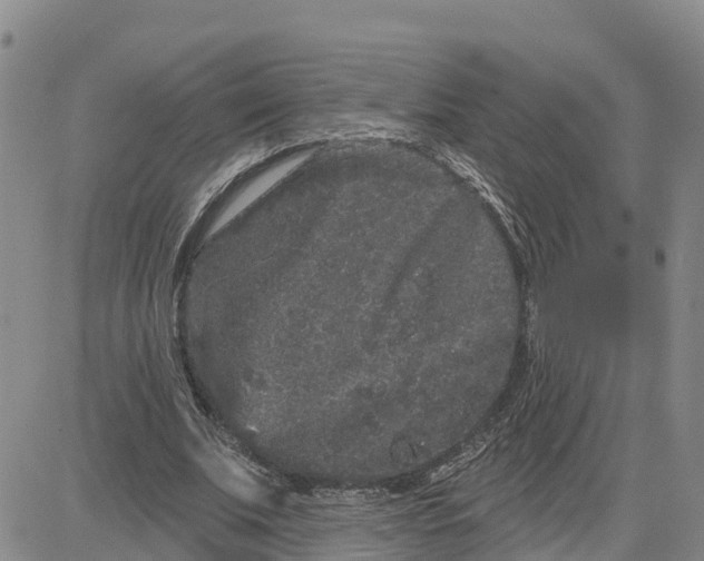 X0000080670679200612301400