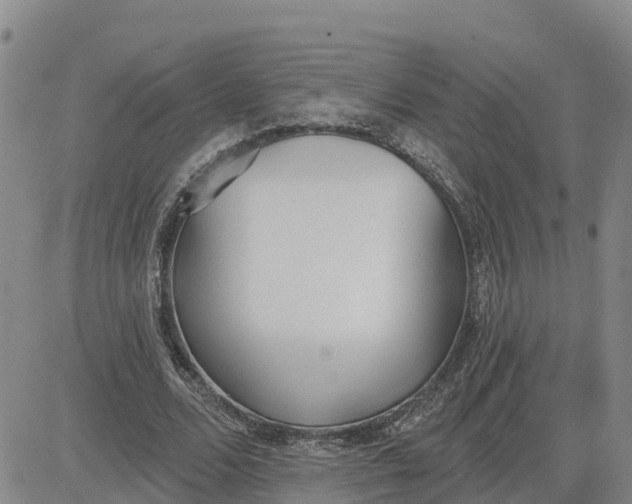 X0000080670680200612301400