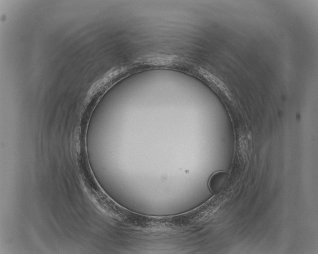 X0000080670682200612301400