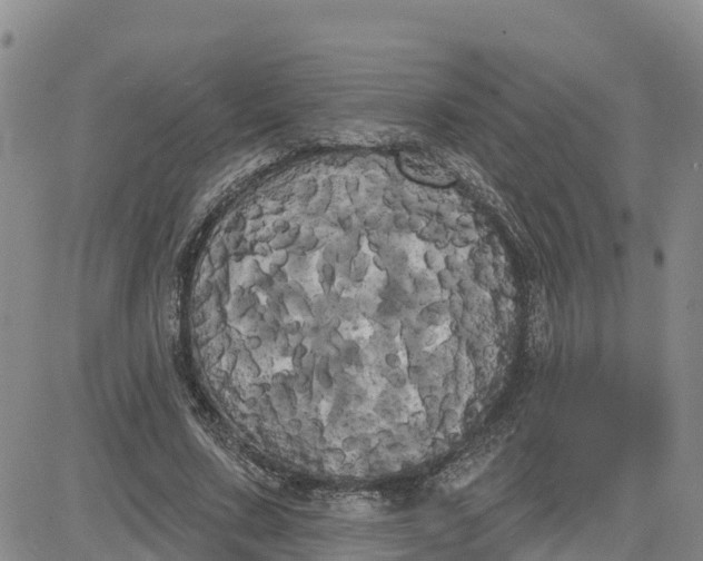 X0000080670683200612301400