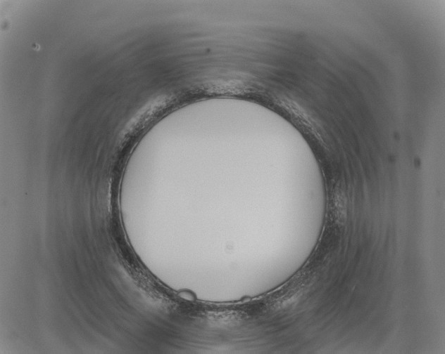 X0000080670686200612301400