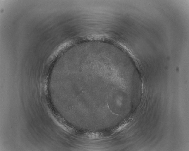 X0000080670687200612301400