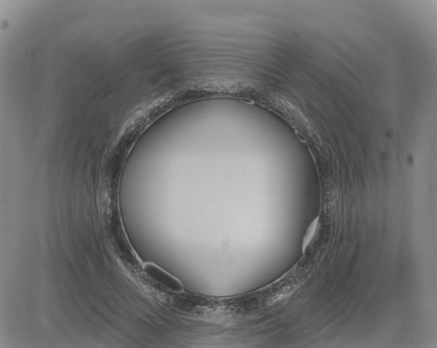 X0000080670688200612301400