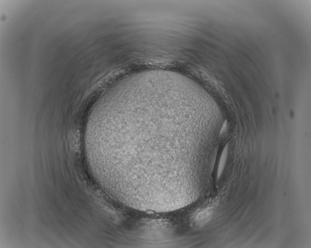 X0000080670689200612301400