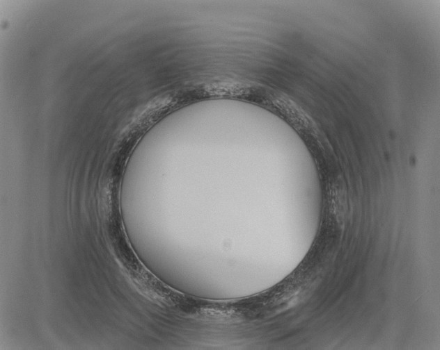 X0000080670690200612301400