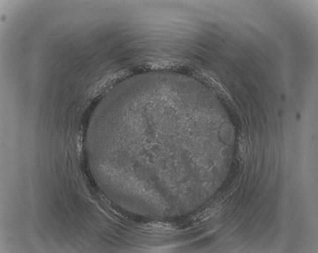 X0000080670691200612301400