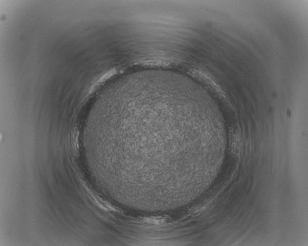 X0000080670692200612301400