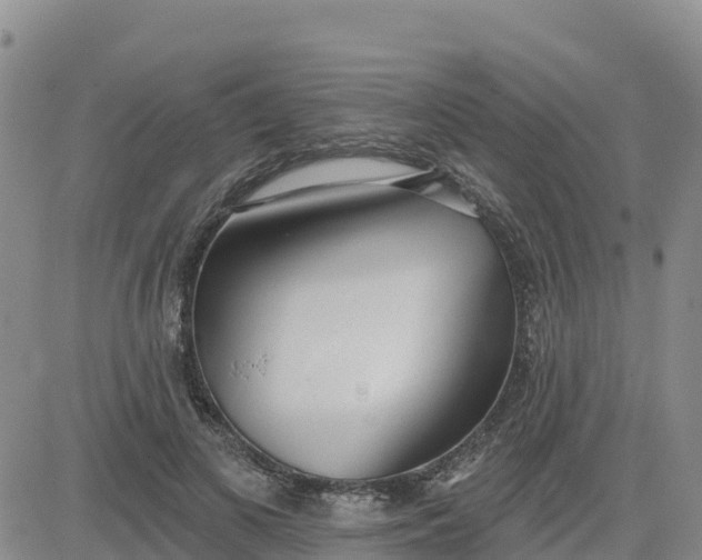 X0000080670693200612301400