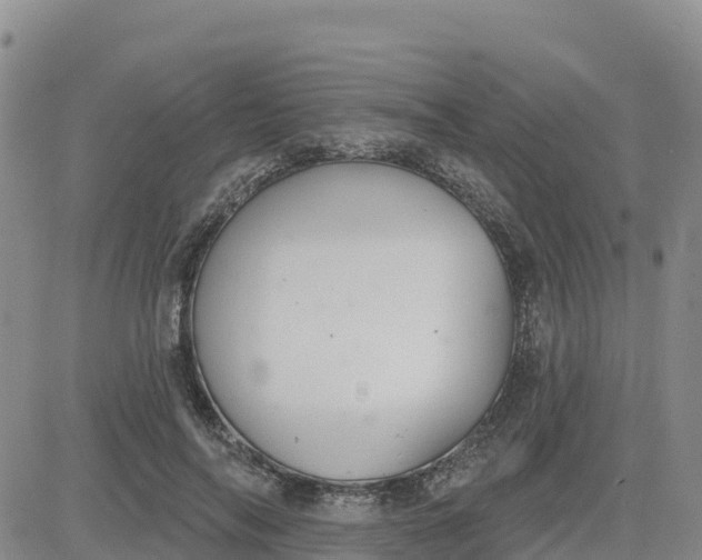 X0000080670694200612301400