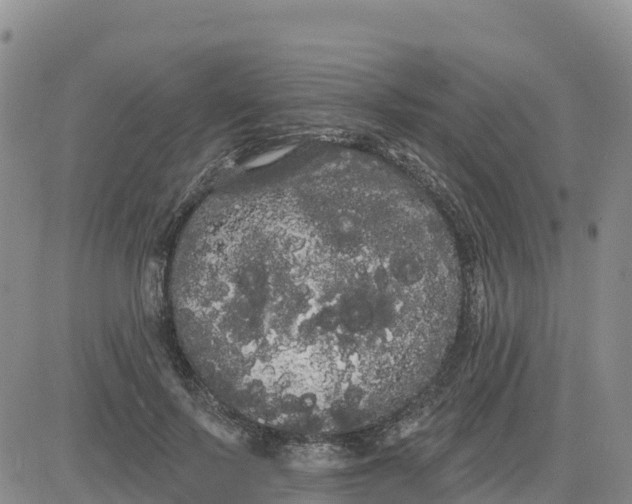 X0000080670695200612301400