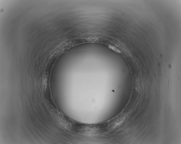 X0000080670697200612301400