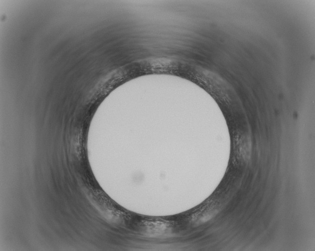 X0000080670698200612301400