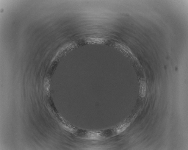 X0000080670701200612301400