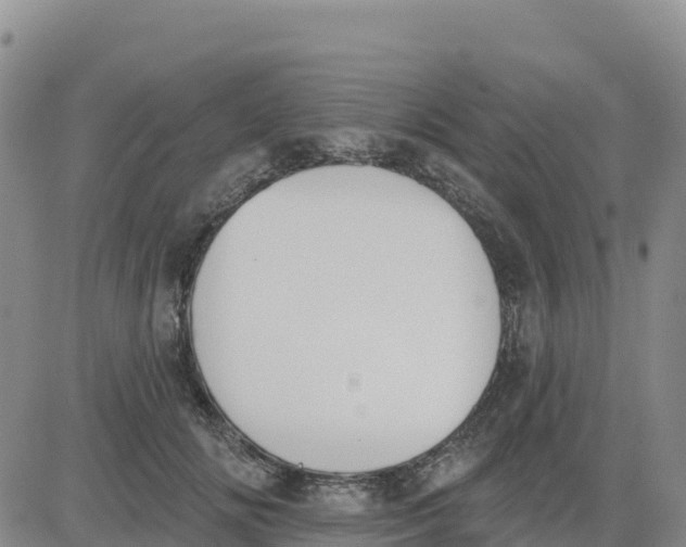 X0000080670702200612301400