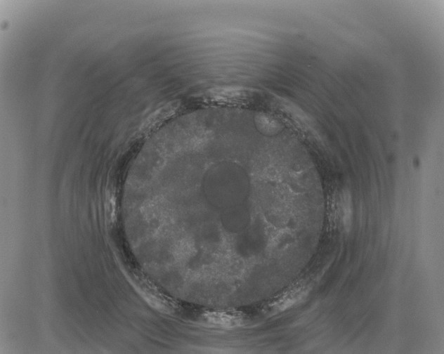 X0000080670703200612301400