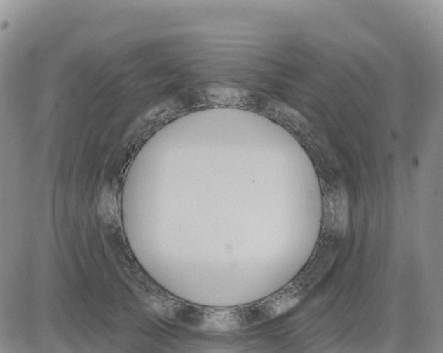 X0000080670705200612301400